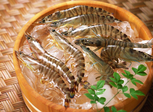 Tôm tươi