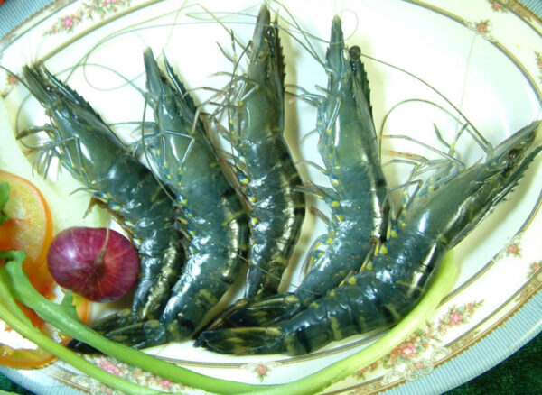 Tôm tươi - Image 2