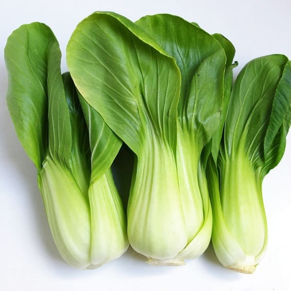 Rau Cải Chíp